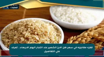قفزة مفاجئة في سعر طن الأرز الشعير عند التجار اليوم الأربعاء.. تعرف على التفاصيل